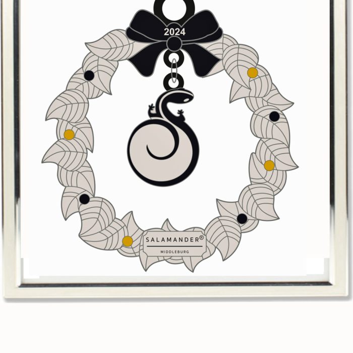 salamander orn IN SILVER FRAME jpg
